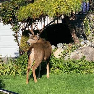 Meet your Posher, Kay